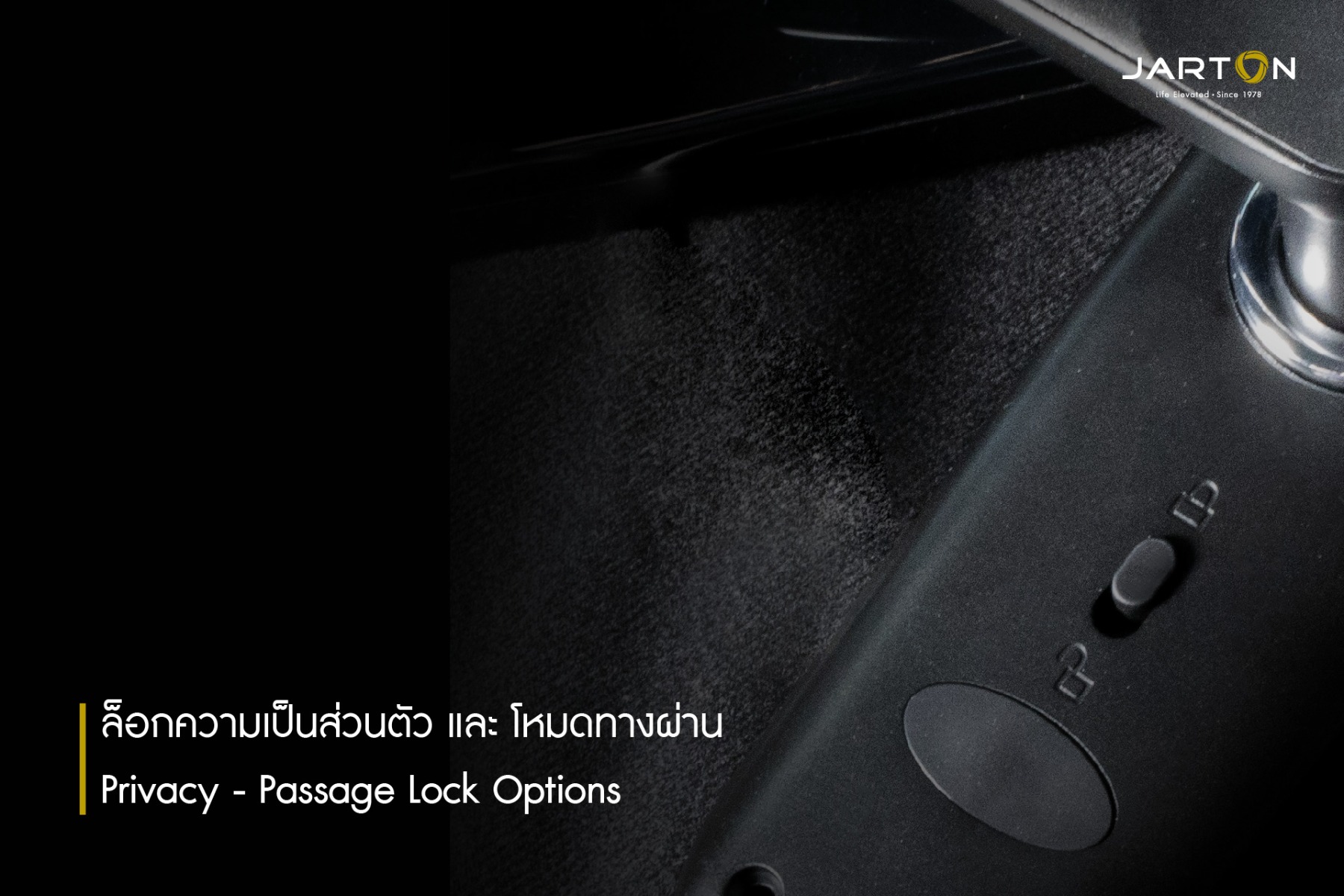 Apollo_2_-_Website-03