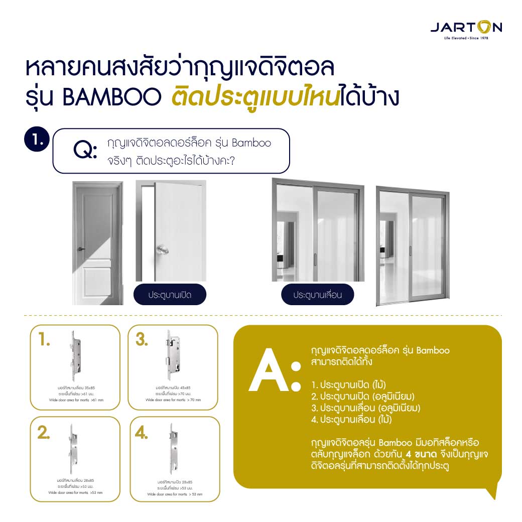 Q_A-Bamboo-_-01