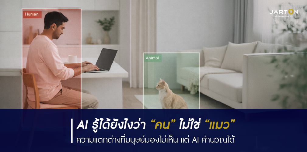 กล้อง AI แยกคนกับสัตว์ได้อย่างไร