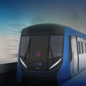 Ref-Inspection%20WTMD-MRT-blue