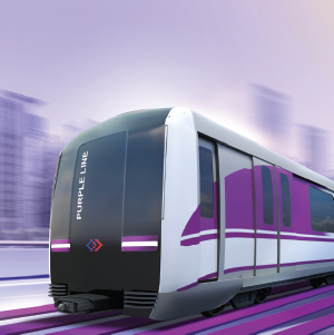 Ref-Inspection-WTMD-MRT-Purple