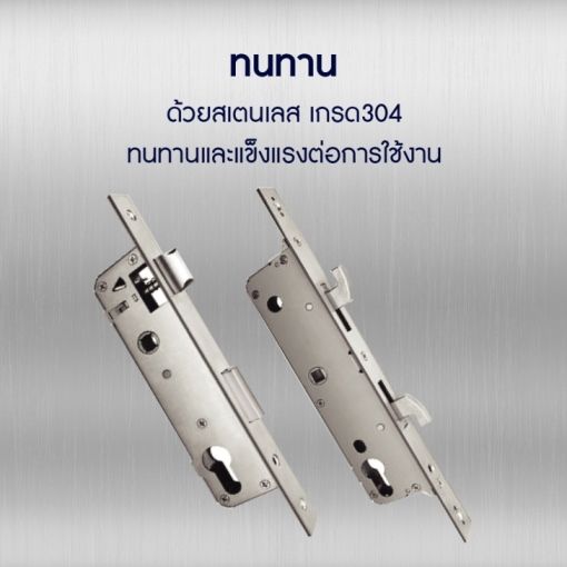 bamboo_highlight-02