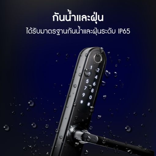 bamboo_highlight-04